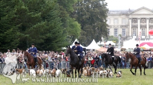 Compiègne Vènerie 2016 0082