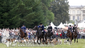 Compiègne Vènerie 2016 0083