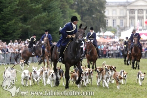 Compiègne Vènerie 2016 0086