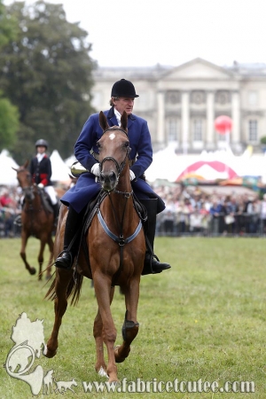 Compiègne Vènerie 2016 0088