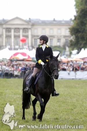 Compiègne Vènerie 2016 0089