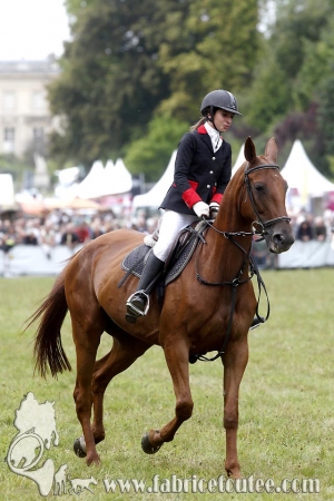 Compiègne Vènerie 2016 0090