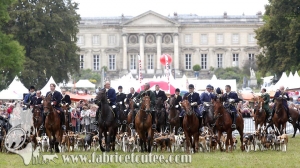 Compiègne Vènerie 2016 0100