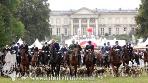 Compiègne Vènerie 2016 0101