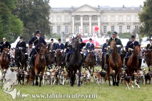 Compiègne Vènerie 2016 0105