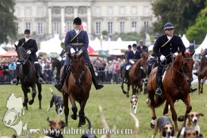 Compiègne Vènerie 2016 0112