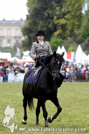 Compiègne Vènerie 2016 0118