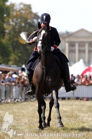 Compiegne 2018 00047