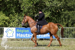 Compiegne 2018 00052