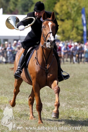 Compiegne 2018 00055