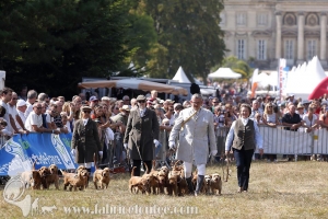 Compiegne 2018 00067
