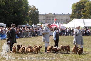 Compiegne 2018 00068