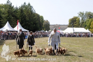 Compiegne 2018 00070