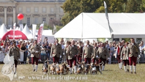 Compiegne 2018 00075