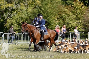 Compiegne 2018 00080