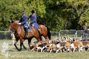 Compiegne 2018 00081