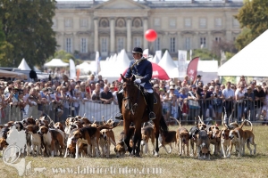 Compiegne 2018 00084