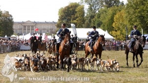 Compiegne 2018 00085