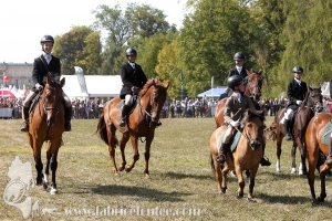 Compiegne 2018 00089