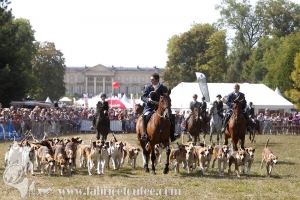 Compiegne 2018 00093