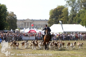 Compiegne 2018 00095
