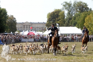 Compiegne 2018 00096