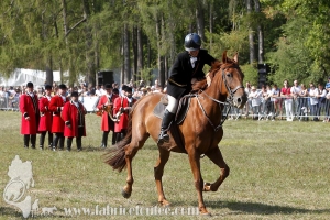 Compiegne 2018 00099