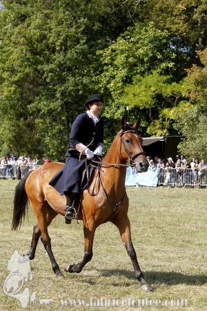 Compiegne 2018 00103