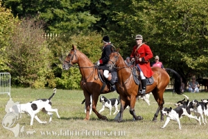 Compiegne 2018 00109