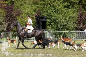 Compiegne 2018 00118