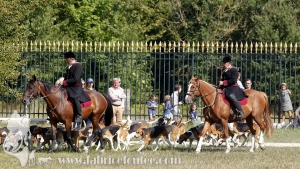 Compiegne 2018 00126