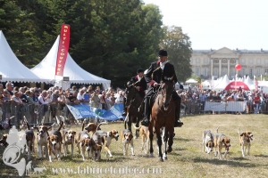 Compiegne 2018 00131