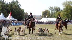 Compiegne 2018 00133