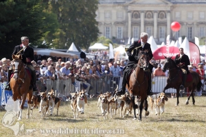 Compiegne 2018 00135