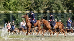 Compiegne 2018 00137