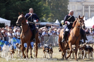 Compiegne 2018 00138