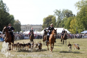Compiegne 2018 00139