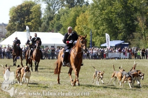 Compiegne 2018 00148