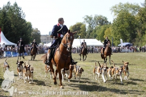 Compiegne 2018 00149