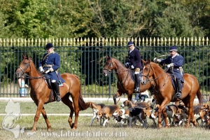 Compiegne 2018 00154