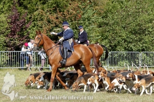 Compiegne 2018 00155