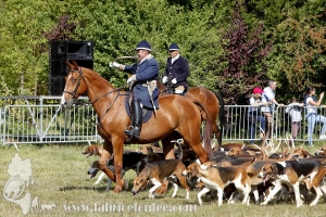 Compiegne 2018 00156