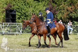 Compiegne 2018 00157