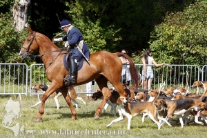 Compiegne 2018 00164