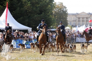 Compiegne 2018 00166
