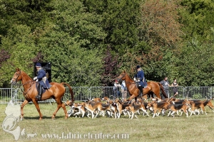 Compiegne 2018 00169