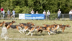 Compiegne 2018 00173