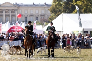 Compiegne 2018 00177