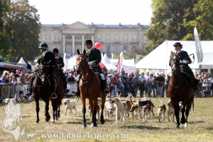 Compiegne 2018 00180