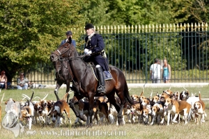 Compiegne 2018 00183